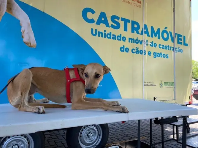 castramóvel
