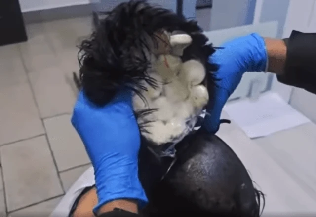 Homem tenta embarcar com droga escondida em peruca