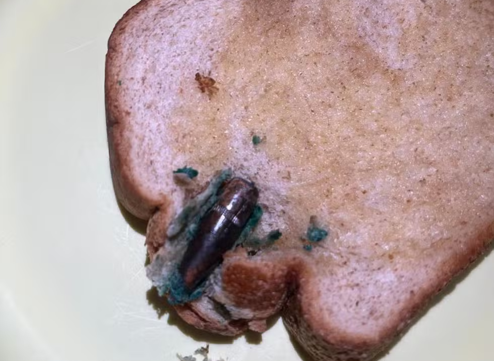 Bala de fuzil é encontrada dentro de pão de forma por moradora no café da manhã