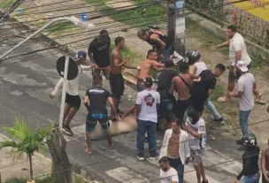 Torcedor estupro