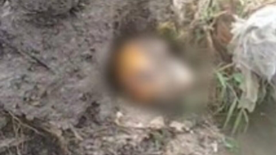 Crânio humano é encontrado no bairro Val Paraíso, em Manaus