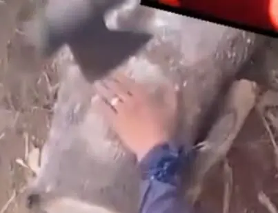 homem tem dedos cortados por facção criminosa
