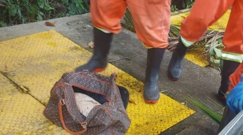 Trabalhadores encontram corpo esquartejado em mala