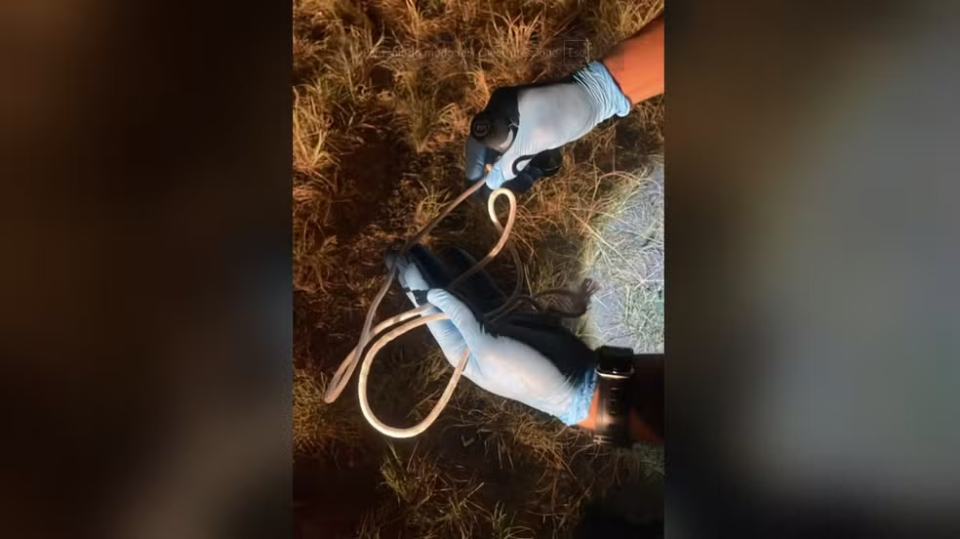 Mulher se finge de morta para escapar de tentativa de feminicídio