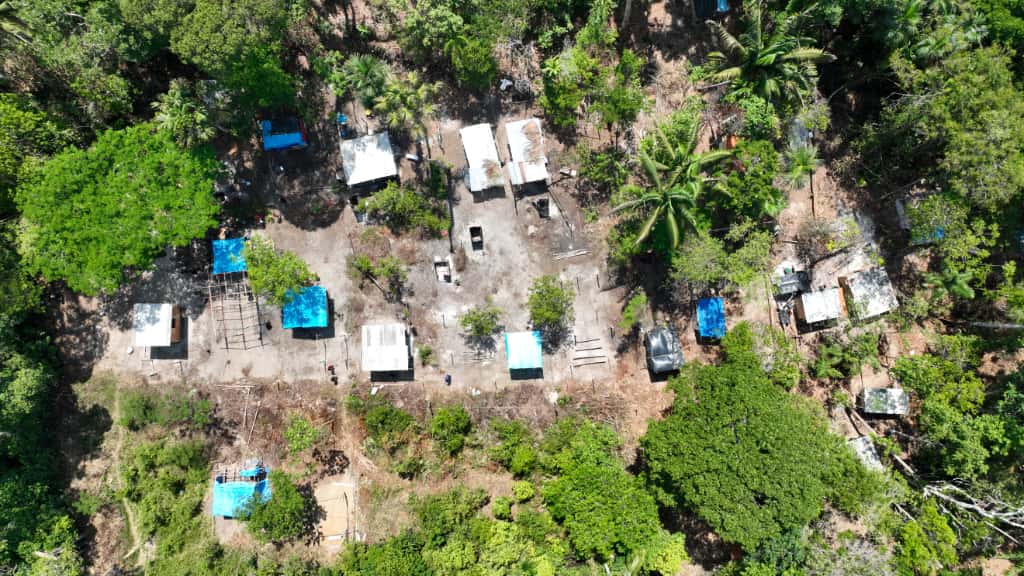 Nove pessoas são indiciadas por crimes ambientais e associação criminosa em Manaus
