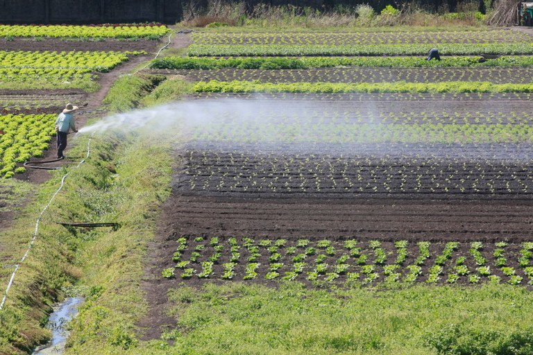 Governo do Brasil já aprovou R$ 7,2 bi para produtores impactados pelo clima — Agência Gov