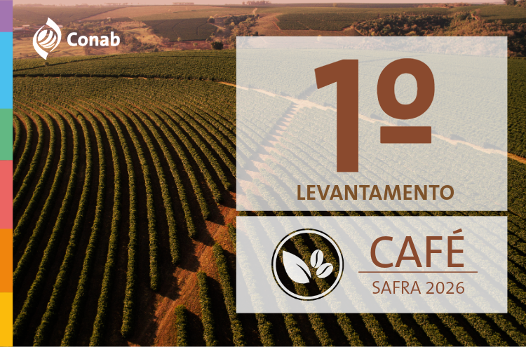 produção de café deve crescer 17% e bater recorde em 2026 — Agência Gov