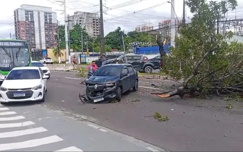 Acidente entre carros derruba árvore na estrada da Ponta Negra