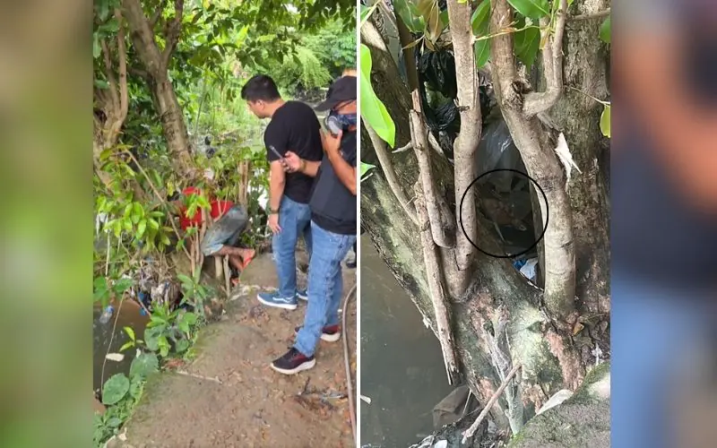 Após ocorrência no Centro, segunda perna é encontrada no Novo Aleixo