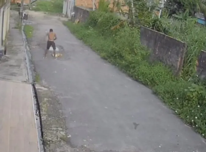 Cão morre após sofrer maus-tratos em Manaus; polícia busca responsável