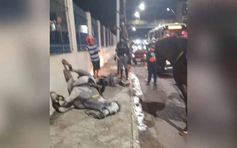 Cavalo da PM se assusta com fogos e policial fica ferida em Manaus
