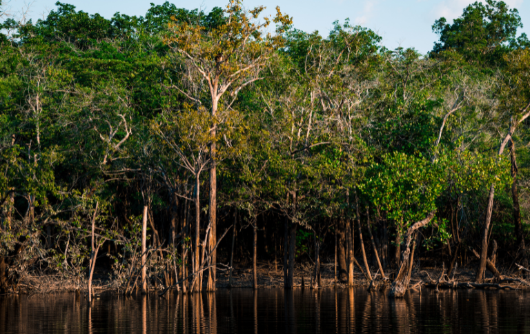 No Dia Mundial das Áreas Úmidas, ICMBio destaca os desafios para a conservação desses ecossistemas — Agência Gov