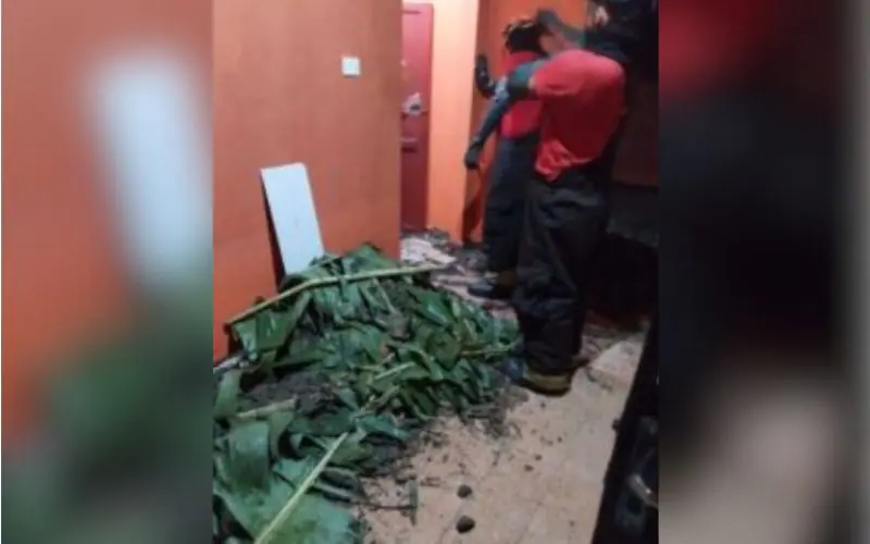 Corpo de idoso é encontrado enterrado em banheiro de quitinete