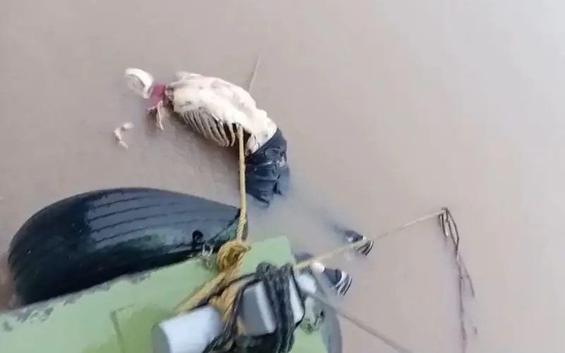 Corpo parcialmente esqueletizado é encontrado boiando no AM