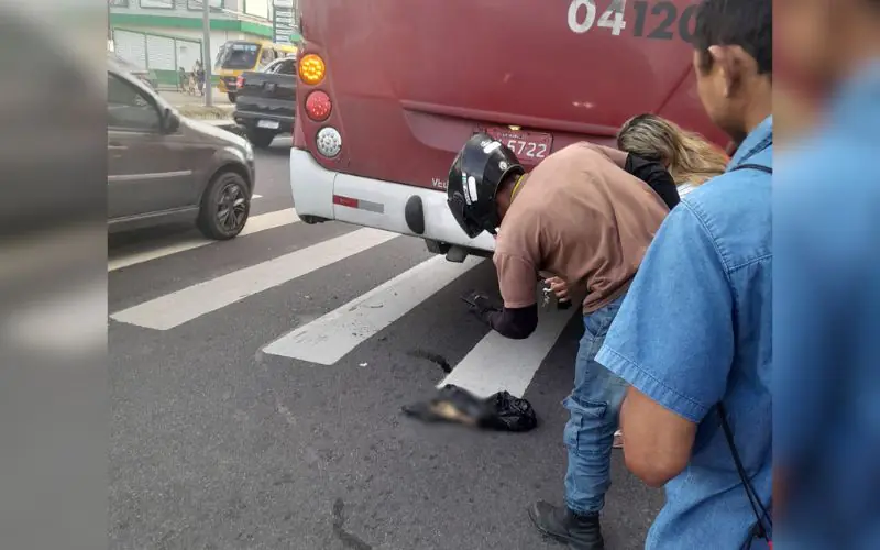 Passageiro de 'Amarelinho' perde o braço após colocá-lo para fora da janela