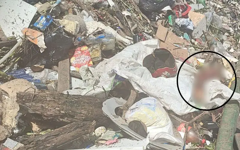Perna é achada em balsa de limpeza no Centro de Manaus
