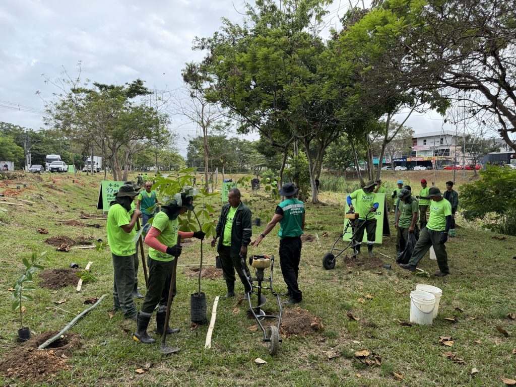 Arborização de Manaus avança com 13,4 mil mudas plantadas