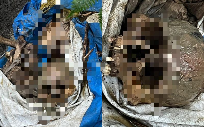 VÍDEO: Ossada humana é encontrada em área de mata na AM-010