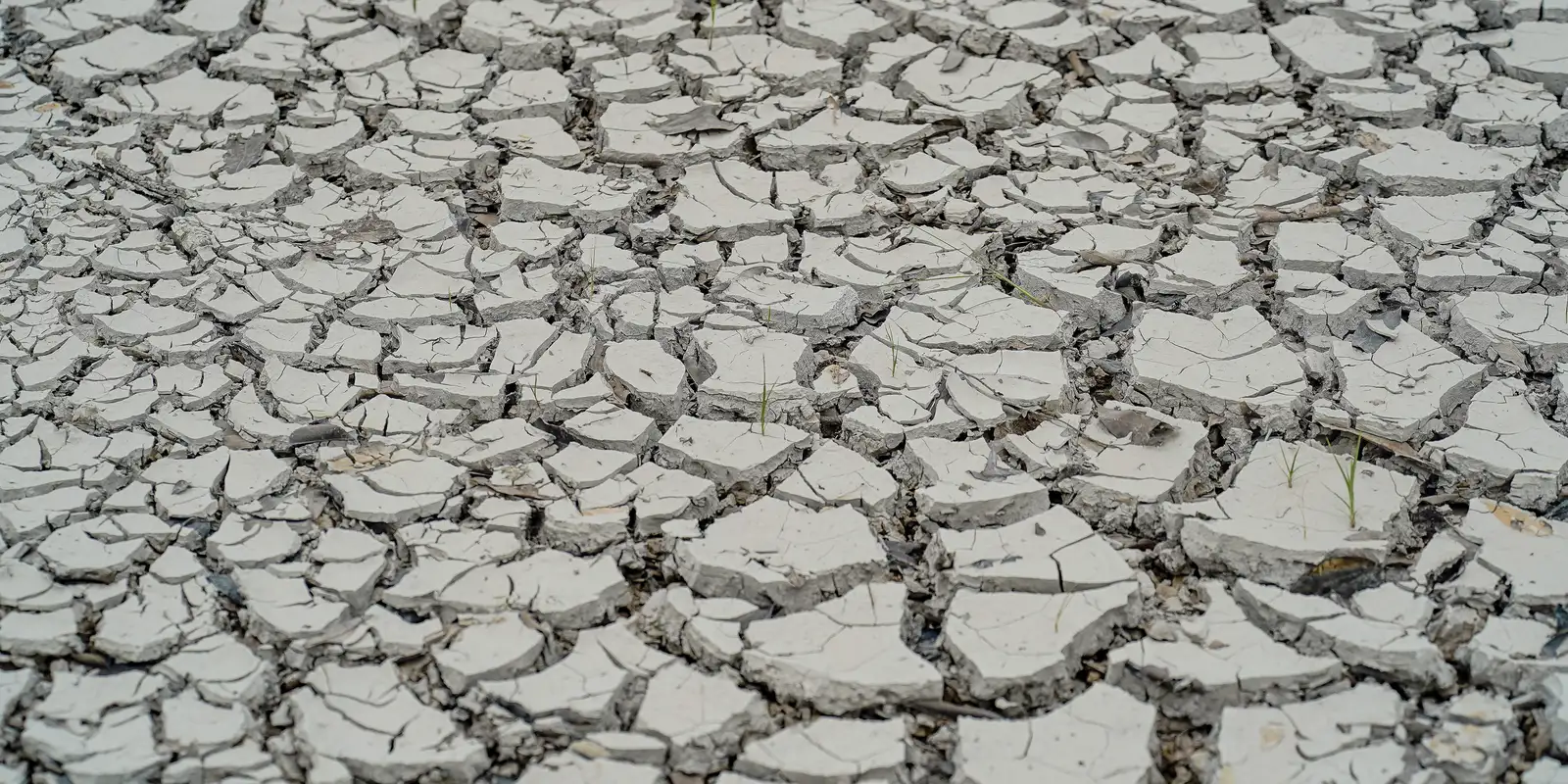 Estiagem: quinze cidades têm situação de emergência decretada