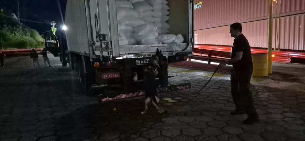 Alerta do Pará leva polícia a apreender 150 kg de skunk que sairiam de Manaus para Belém
