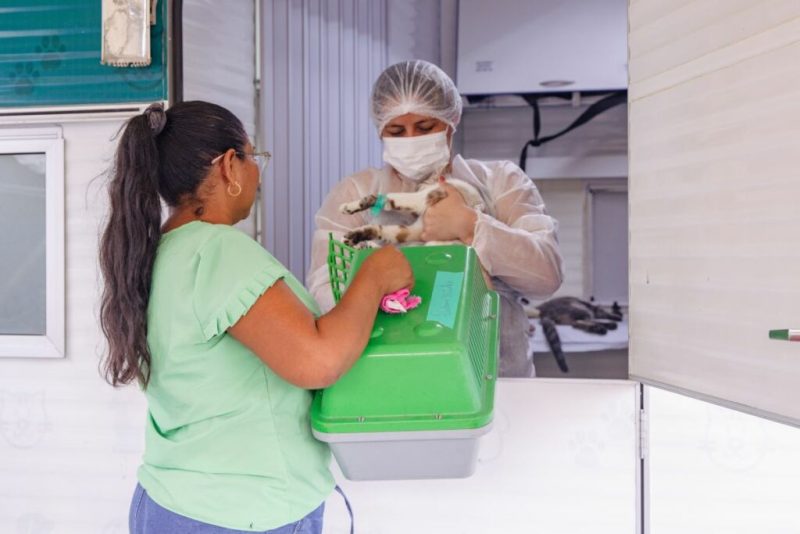 Centro de Zoonoses abre vagas para castração gratuita de cães e gatos em Manaus; veja como agendar