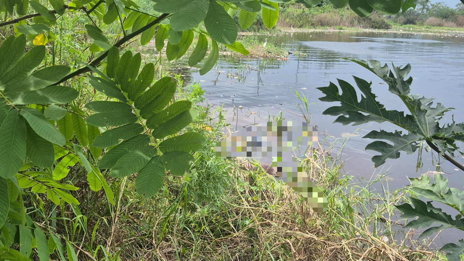 Moradores encontram corpo de homem em igarapé no bairro da Glória