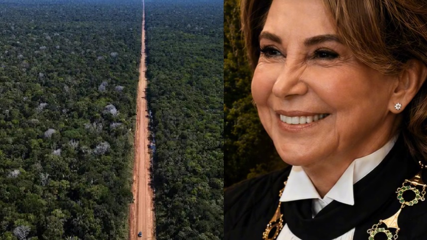 Reviravolta: desembargadora derruba liminar e libera edital para pavimentação da BR-319