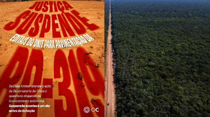 ONG que contestou pavimentação da BR-319 tenta se explicar: 'não somos contra a estrada'