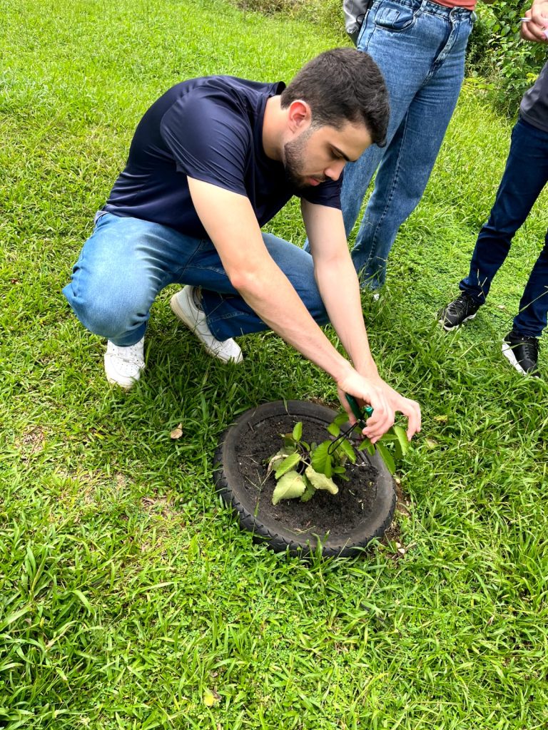 Plantas medicinais: projeto alia ciência e saber tradicional em Itacoatiara