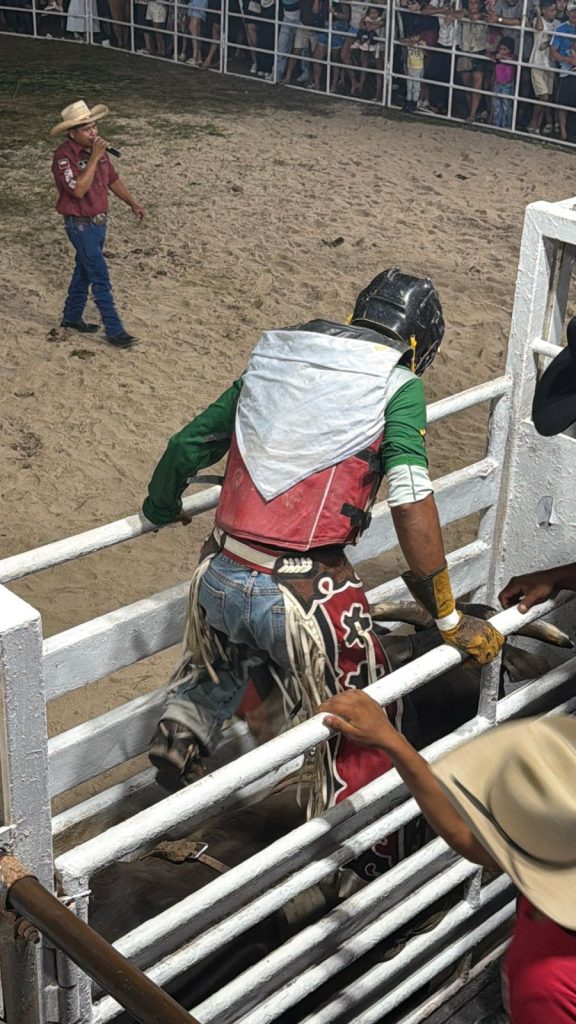 Agrifest abre com rodeio, vaquejada e arena lotada em Manaus