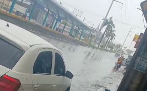 Criminosos em motocicletas invadem floricultura e aterrorizam clientes em Manaus