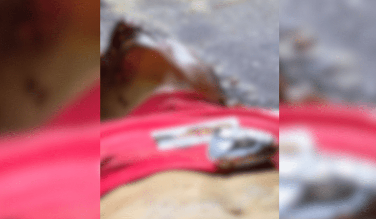 Homem é encontrado morto com cabeça esmagada por pedras em Manaus