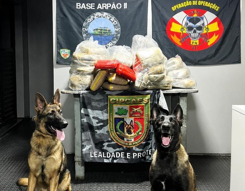 Base Arpão apreende 91 quilos de drogas no rio Solimões