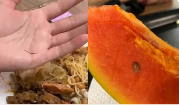 VÍDEO: Estudantes encontram arame e ovo de barata em comida da Ufam