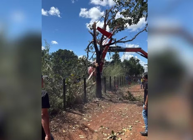 Helicóptero da dupla Henrique e Juliano faz pouso de emergência em fazenda