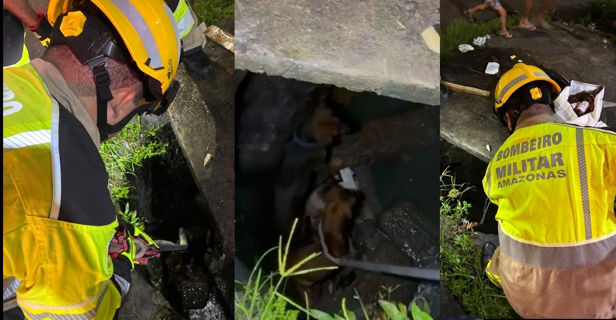 'Caramelos' brigam, caem em bueiro e mobilizam bombeiros em Manaus