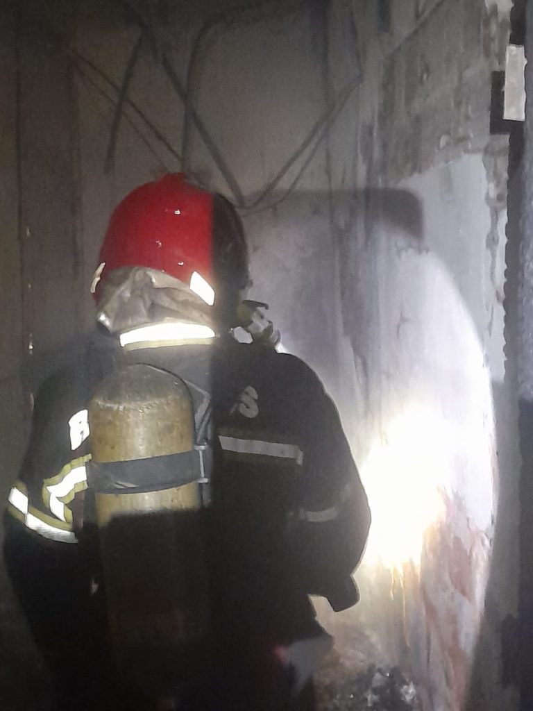 Coelha acorda família durante incêndio e evita tragédia em Manaus: “Salvou nossas vidas”