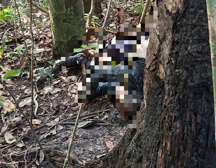 Segundo corpo é encontrado em área de mata no Tarumã; vítima estava desaparecida há quatro dias