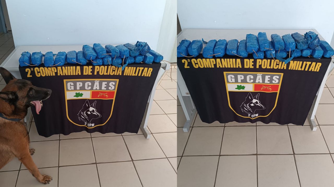 Polícia apreende mais de 11 kg de cocaína escondidos em embarcação no Amazonas