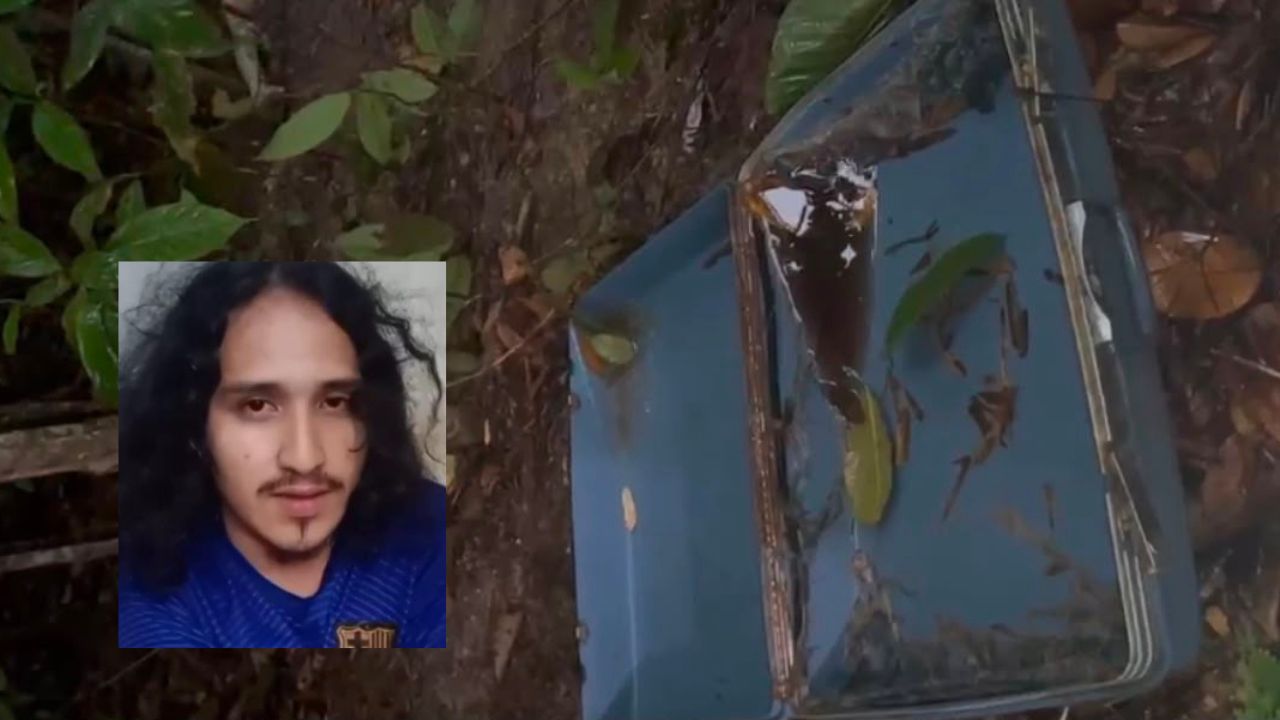 Jacaré pode ter devorado cabeça de homem decapitado em Manaus; saiba detalhes