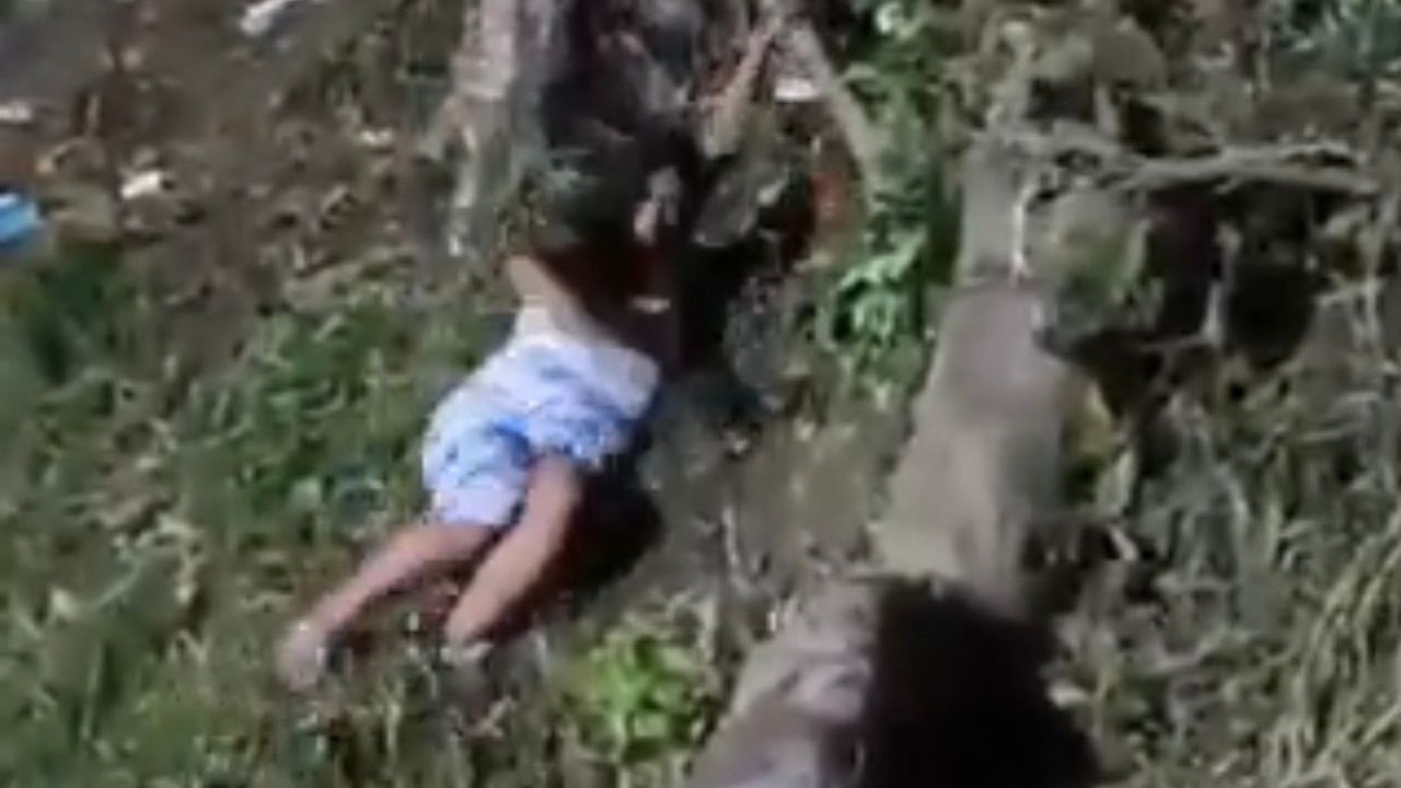 VÍDEO: Mulher escorrega em barranco para não perder barco após Festival de Parintins