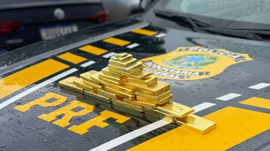ouro ilegal apreendido BR-174-capa