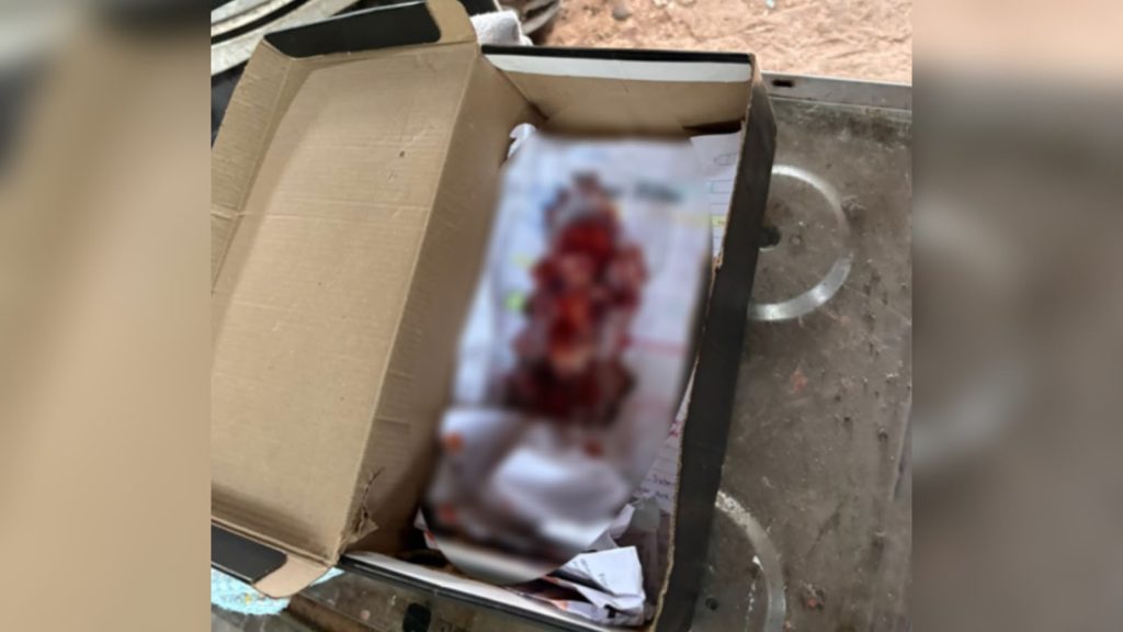 VÍDEO: Feto de três meses é encontrado dentro de caixa de sapato em Itacoatiara