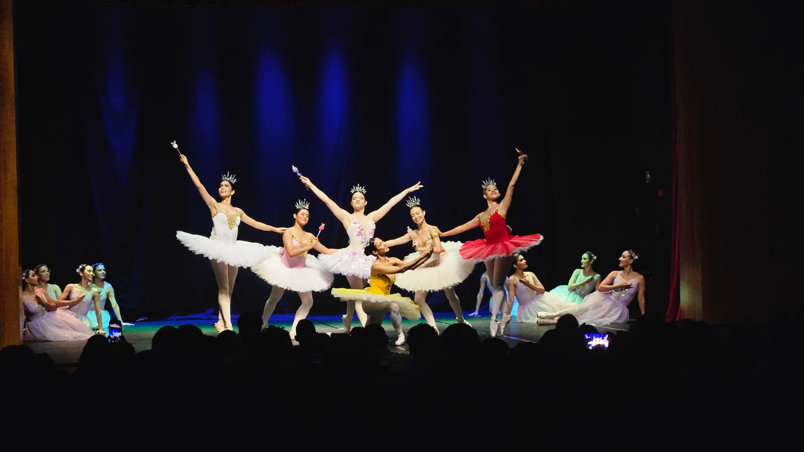 'Mostra de Dança de Manaus' celebra 30 anos com apresentações gratuitas
