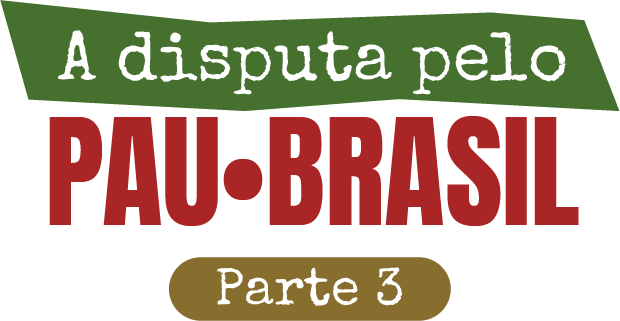 Com apenas uma fiscal, Parque do Pau-Brasil é devorado em silêncio