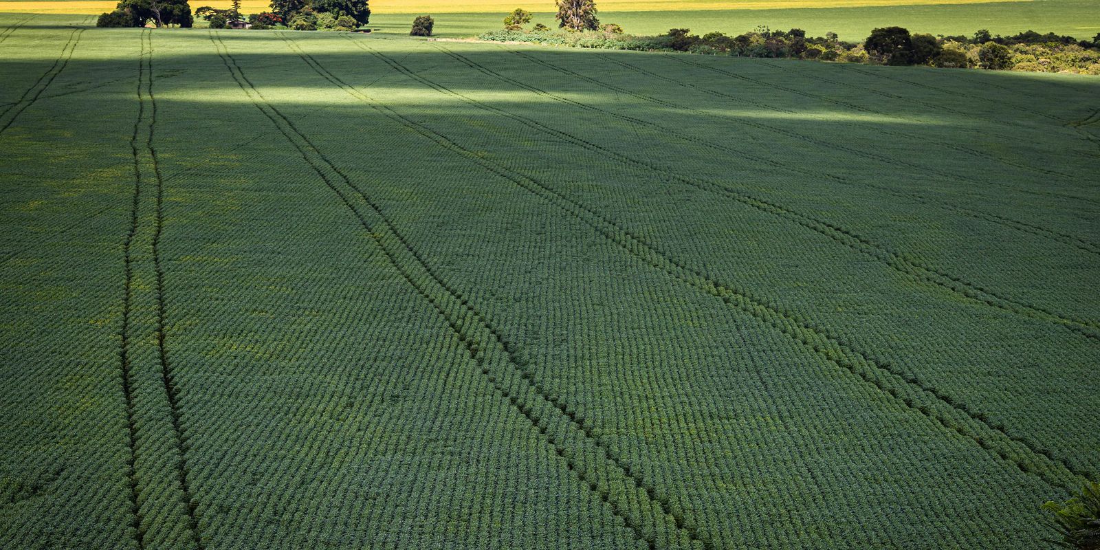 Senado aprova plano para fabricação de fertilizantes no Brasil