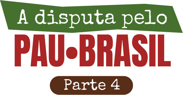 Do Brasil à Itália: como funciona o lobby pelo Pau-Brasil
