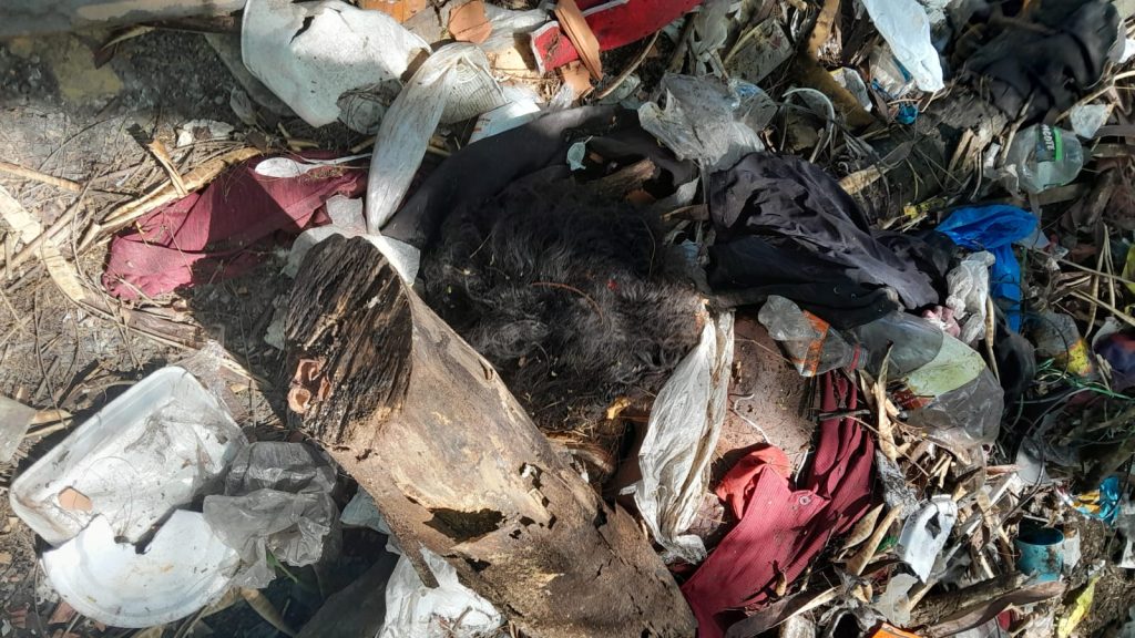 Morador de rua é encontrado morto com órgão genital mutilado em Manaus; IMAGENS FORTES