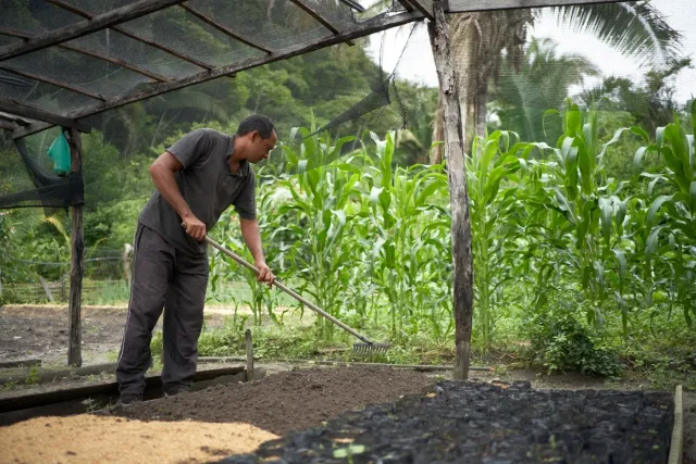 Soja no Maranhão: financiamento de R$ 44 mi em área de conflito
