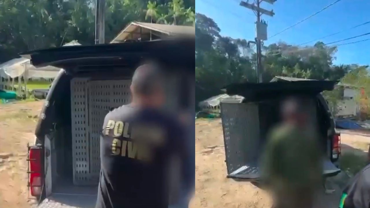 VÍDEO: Idoso é preso após estuprar cadela na BR-174, em Manaus